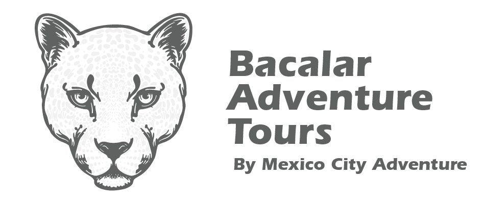 Logo Bacalar