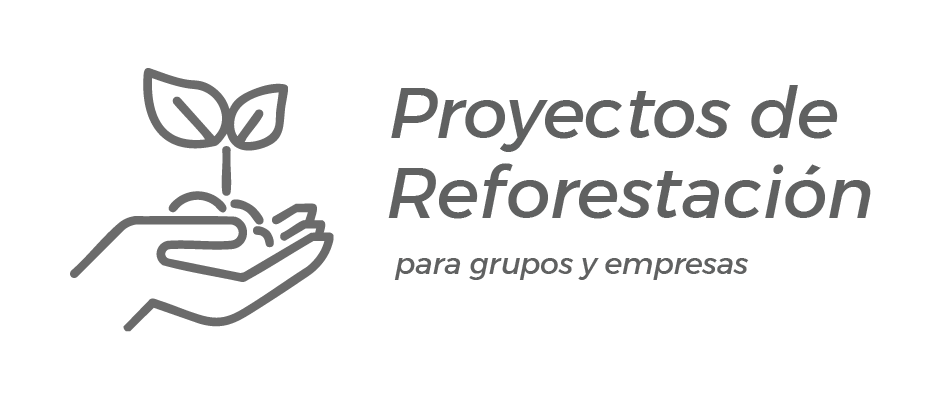 Logo Reforestación
