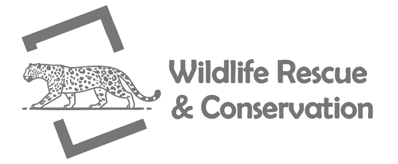 Logo Wildlife